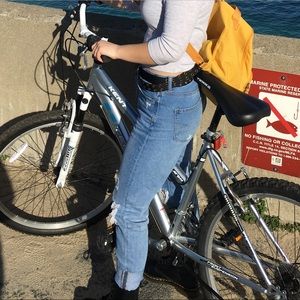 American Eagle Light-Medium Mom Jeans